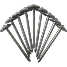Roofing Nail Roof Wire Nail Steel Smooth Shank